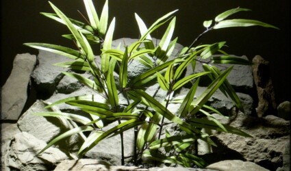Silk Black Bamboo - Artificial Reptile Plant - Snake Cage Plant srp301 Silk Black Bamboo - Artificial Reptile Plant - Snake Cage Plant srp301