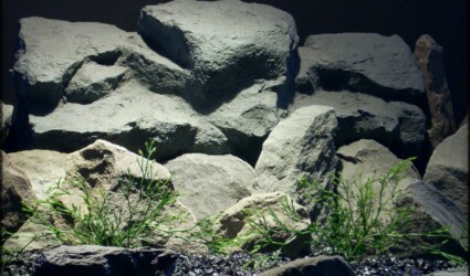 Witch Grass - Artificial Aquarium Plants parp300