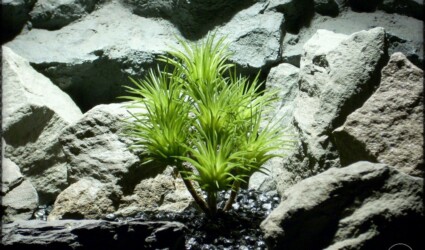 Artificial Tillandsia Ionantha - Artificial Reptile Plant prp309 2