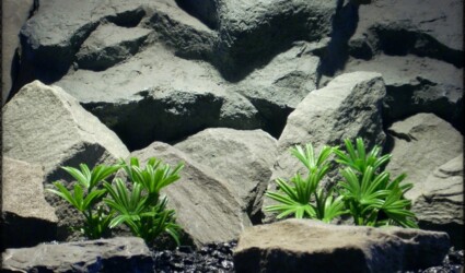 Lady Palm - Artificial Aquarium Reptile Plants - ron beck designs - parp304