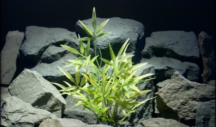 Design Portfolio Aquarium Decor Plants 36 Variegated Bamboo - Artificial Aquarium Plant - parp303