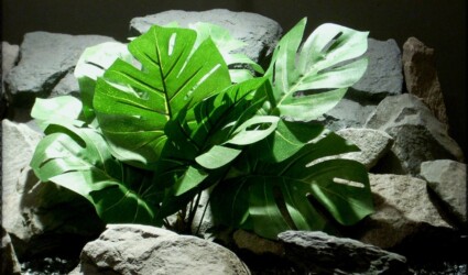 split-leaf philodendron - Artificial Silk Reptile Plant - srp305