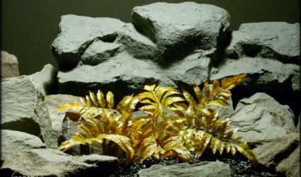 Design Portfolio Reptile Plants & Succulents 154 Forest Fern - Artificial Reptile Plant - Ron Beck Designs prp311