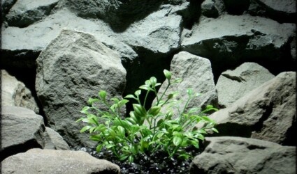 Tea Plant Bush - Artificial Aquarium Plant - Ron Beck Designs pap314