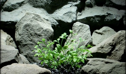 Design Portfolio Aquarium Decor Plants 35 Tea Plant Bush - Artificial Aquarium Plant - Ron Beck Designs pap314