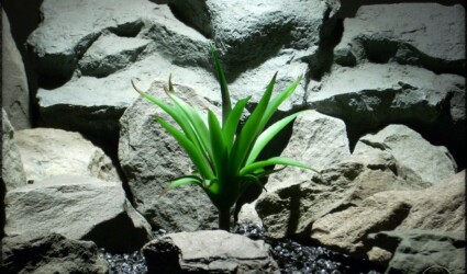 Design Portfolio Reptile Plants & Succulents 150 Artificial Succulent - Artificial Reptile Plant - prp317