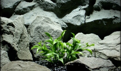 Artificial Greenery Leaf Bush - Real Touch - Artificial Reptile Plant prp324