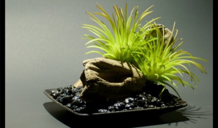 Home Decor | Office Decor - Artificial Plants & Succulents 2 1 Scape - Artificial Reptile Decor - Home Decor - Driftwood - Succulents