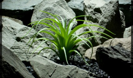 Artificial Spider Agave - Artificial Reptile Habitat Plant - prp333 1500