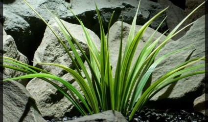 Design Portfolio Aquarium Decor Plants 31 Artificial Green Leaf Blades - Artificial Aquarium Plant parp341 2