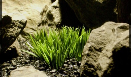 Design Portfolio Reptile Plants & Succulents 131 Artificial Atlantis Grass - Artificial Aquarium Plant - Reptile Habitat Plant - parp344 2