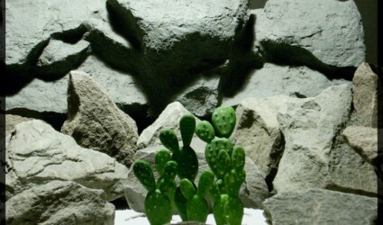 Artificial Beautertia Cactus - Artificial Reptile Desert Cactus Plant - prp347 - prp347