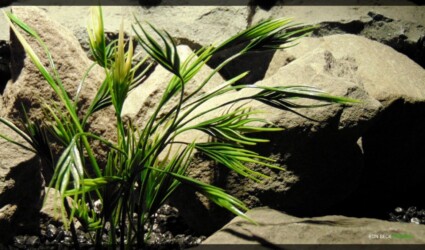 Artificial Mermaid Grass - Artificial Aquarium Plant - parp356 2