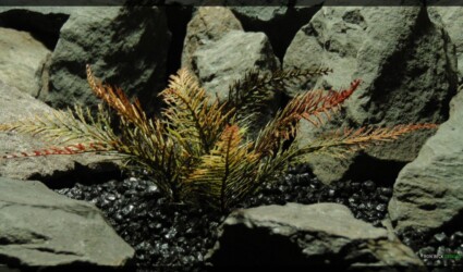 Design Portfolio Reptile Plants & Succulents 125 Artificial Spiked Fern - Artificial Aquarium Plant - parp360 2
