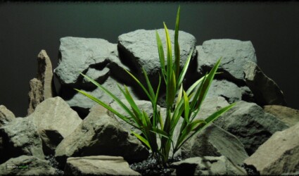 Design Portfolio Aquarium Decor Plants 23 Artificial Aquarium Plant - Reptile Terrarium Plant - parp369