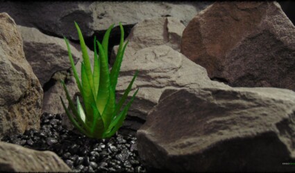 Design Portfolio Reptile Plants & Succulents 110 Artificial Aloe Plant - Artificial Reptile Desert Decor - prp372 1920 1080 2