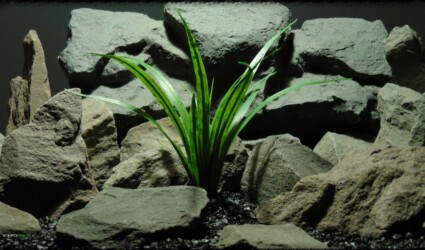 Artificial Dracaena - Artificial Reptile Terrarium Plant - prp379