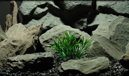 Design Portfolio Aquarium Decor Plants 22 Artificial Green Matai - Artificial Aquarium Plant - parp371