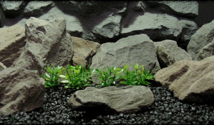 Design Portfolio Aquarium Decor Plants 20 Artificial Dwarf Mini Leaves Plot Plastic Aquarium Plant - parp388