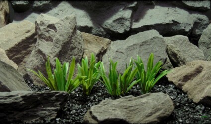 Design Portfolio Aquarium Decor Plants 21 Artificial River Grass Plot - Artificial Aquarium Decor Plant - PARP387