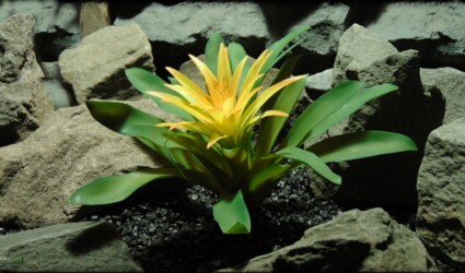 Design Portfolio Reptile Plants & Succulents 62 Artificial Guzmania Yellow Mirador Bromeliad - Reptile Habitat Plant - PRP391 2