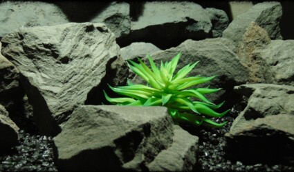 Artificial Fire Echeveria - Reptile Habitat plant Succulent - PRP394 2