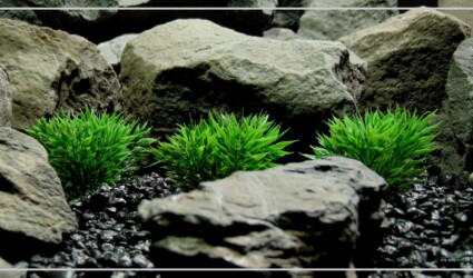 PODOCARPUS GRASS Artificial Podocarpus Grass Plot - Reptile Terrarium Habitat Plant - PARP402 1920 1080