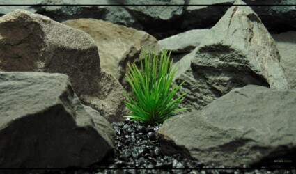 Design Portfolio Aquarium Decor Plants 19 Artificial Aquarium Plant - Pine Grass Single - parp410 1920 1080