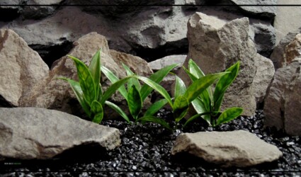 Artificial Bay Leaf Plot - Artificial Reptile Terrarium Plot - PRP411