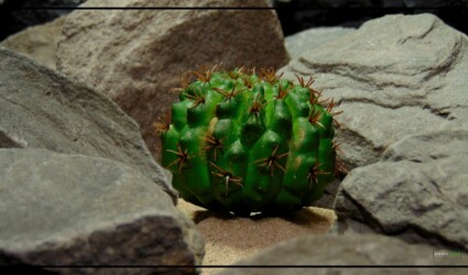 Artificial Green Barrel Cactus - Reptile Desert Plants
