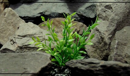 Artificial Spring Greenery Bush - Aquarium Plant or Reptile Plant - parp416