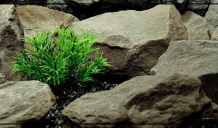 Spiky Bush - Artificial Aquarium Decor Plant - parp420 3