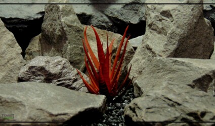 Artificial Aloe Plant (Burnt Apple Red) - Artificial Reptile Desert Habitat Plant prp423