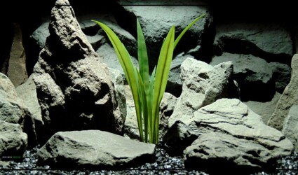 YUCCA GRASS Artificial Yucca Grass - Aquarium Plant or Reptile Enclosure - parp426 1