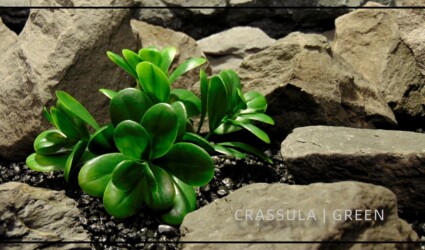 Design Portfolio Reptile Plants & Succulents 28 Artificial Crassula - Green - Reptile Terrarium Plant - PRP434 - title
