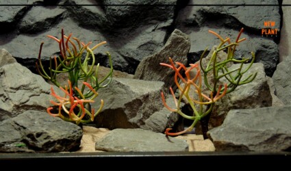 FIRESTICK CACTUS Artificial Fire Stick Cactus - Reptile Desert Decor Plant - prp428