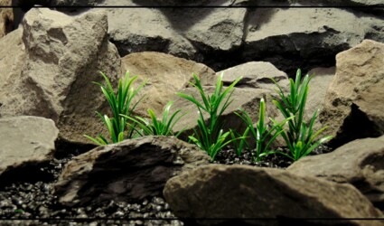 Artificial Green Matai - Aquarium Reptile Plant - parp432
