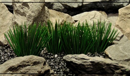 Artificial Japanese Grass Plot - Artificial Reptile Tank Plants - PRP435 2