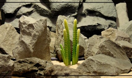Artificial San Pedro Cactus - Reptile Desert Terrarium Plant - PRS218