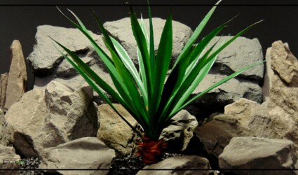 Artificial Spiked Agave - Reptile Terrarium Plant - Home Decor - PRS431