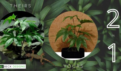 2 in 1 - theirs and yours - Artificial Plants - Ron Beck Designs