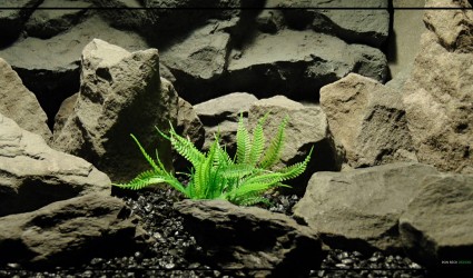 Design Portfolio Aquarium Decor Plants 9 Alien Fern - Artificial Aquarium Plant & Reptile Plant - parp436