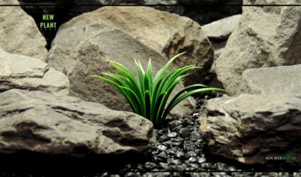 Artificial Curly Grass - Aquarium Reptile Plant - New Plant Type PARP445