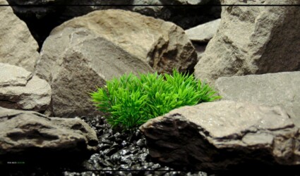 Artificial Podocarpus Grass - Aquarium Plant - Ron Beck Designs PARP443