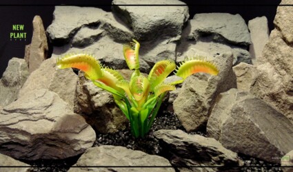Artificial Venus Flytrap - Artificial Reptile Habitat Plant PRP448