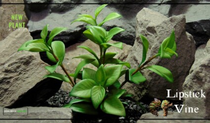 LIPSTICK VINE Artificial Lipstick Vine - New Plant Type - Ron Beck Designs c with reptiles