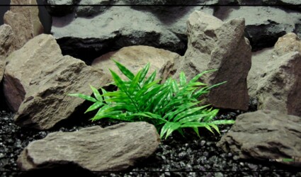 Design Portfolio Reptile Plants & Succulents 19 Artificial Pinnate Leaf Bush - Aquarium or Reptile Habitat Plantparp452