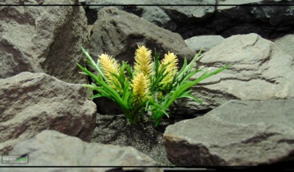 Design Portfolio Reptile Plants & Succulents 16 Artificial Cactus Flower Blooms - Reptile Desert Plant - prp455 2