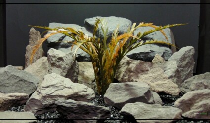 Artificial Feather Leaf Fern (Fall) - Reptile Terrarium Plant - prp288 2022