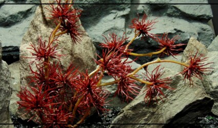 Design Portfolio Reptile Plants & Succulents 14 Artificial Thistle Bush (Eggplant) - Reptile Tank Plants prp456 2